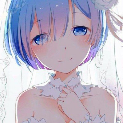 山东师大停招25专业